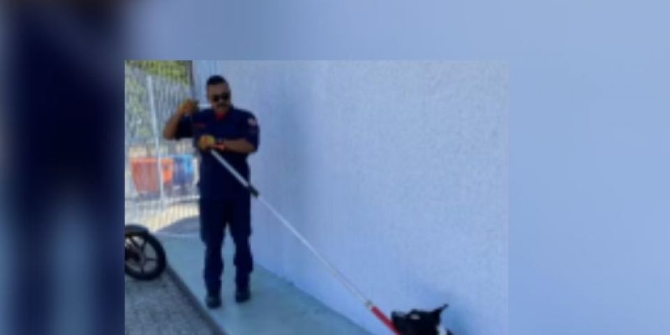 Criança fica ferida após ataque de pitbull no RS