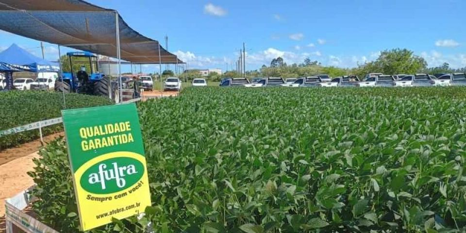 FOTOS: confira os detalhes do 2º Dia de Campo da Afubra