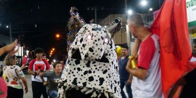 Encruzilhada do Sul mantém viva a tradição do Bumba Meu Boi