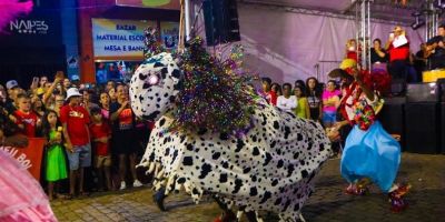 Tradição do Bumba Meu Boi lota o centro de Encruzilhada do Sul