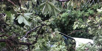 Forte temporal atinge São Paulo e causa ao menos uma morte