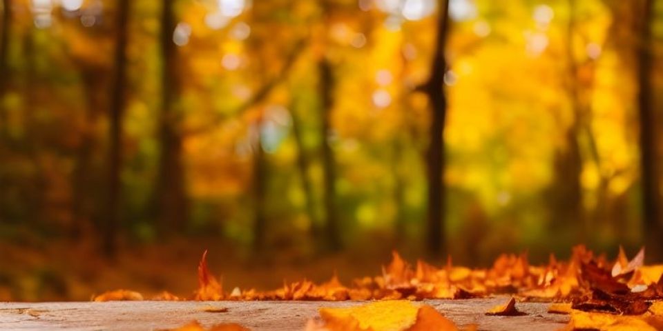 Outono começa com previsão de temperaturas acima de média