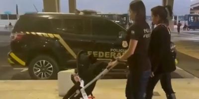 PF repatria bebê que estava em Portugal e foi vítima de tráfico humano