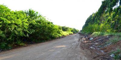 Avenida Ayrton Senna recebe limpeza em Camaquã