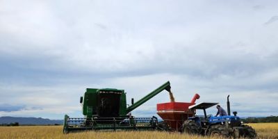 Colheita do arroz atinge 62,35% da área semeada no RS