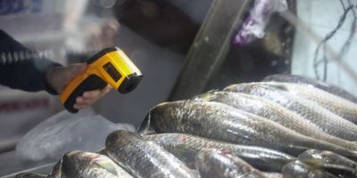 Fiscalização apreende mais de 2,5 toneladas de pescados impróprios para o consumo no Mercado Público de Porto Alegre