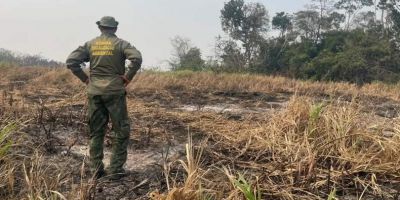 Brasil reduz 70% da área queimada no primeiro trimestre de 2025