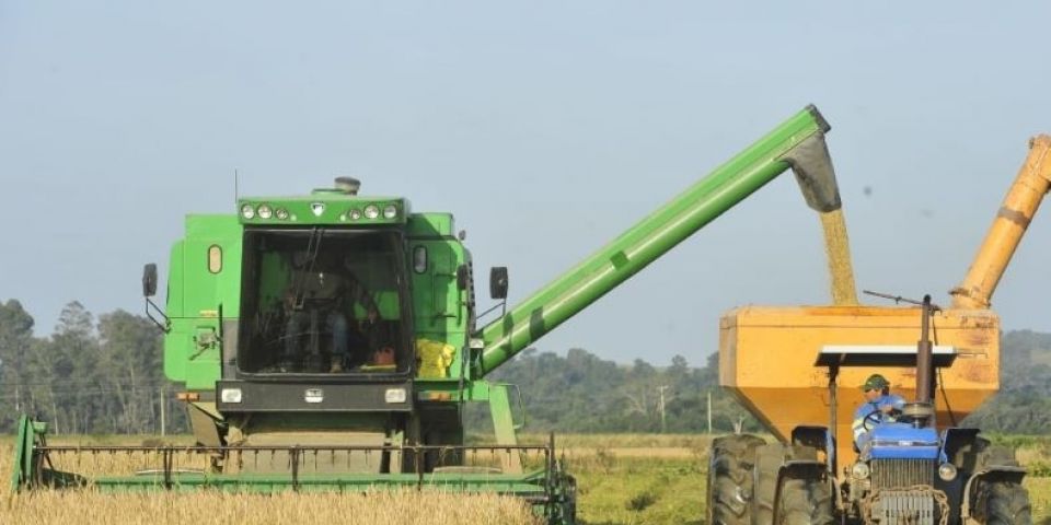 Colheita do arroz atinge 79,19% da área semeada no RS