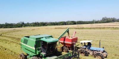 Colheita do arroz atinge 85,7% da área semeada no RS