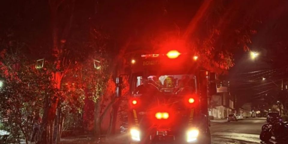 Incêndio em apartamento de Porto Alegre mata quatro gatos e dois cachorros