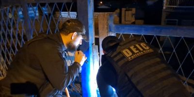 Organização criminosa que hackeava contas gov.br e aplicava golpes com venda de carros clonados é desarticulada no RS