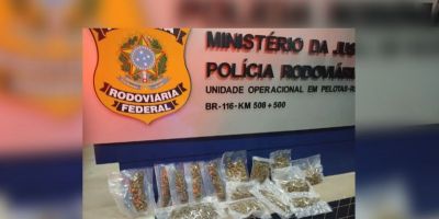 Homem é preso transportando skunk na BR-116 em Pelotas