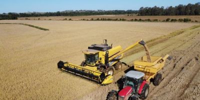 Colheita do arroz avança no RS e se aproxima do fim