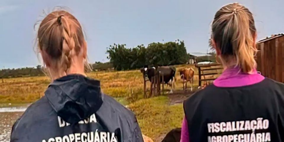 Zoológico de Brasília é fechado após suspeita de gripe aviária