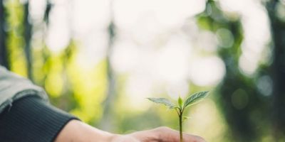 Semana do Meio Ambiente: Camaquã promove ações educativas e culturais de 3 a 6 de junho