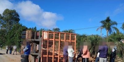 VÍDEO: motorista fica ferido após carreta tombar na ERS-350 em Chuvisca