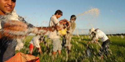 Governo do RS abre as inscrições para edição 2025 do Programa Bolsa Juventude Rural