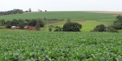 Culturas de verão são beneficiadas pelo clima no Rio Grande do Sul