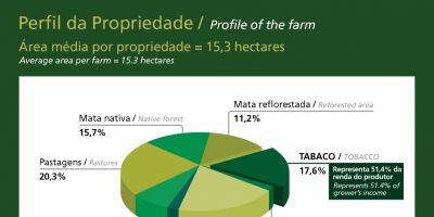 Entre os municípios com lavouras de tabaco, os cinco maiores produtores estão no RS. Camaquã é o 9º