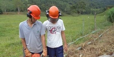 SMAA abre inscrições para curso de Operação e Manutenção de Motosserras 