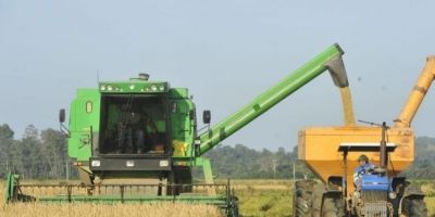 Conab estima nova safra recorde com produção de 339,6 milhões de toneladas de grãos