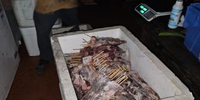 Operação Expurgo: 500 kg de carne imprópria para o consumo são apreendidos em Porto Alegre