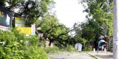 Forte temporal em Porto Alegre deixa mais de 250 mil residências sem energia