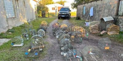 Operação de combate à caça ilegal e ao tráfico de fauna silvestre no RS é realizada