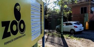 Após foco de gripe aviária, Zoológico de Sapucaia do Sul reabre nesta quinta-feira (31)