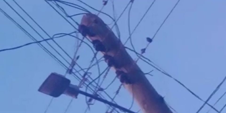 Família do bairro São Carlos está há mais de 20 dias sem energia elétrica em Camaquã