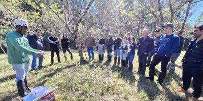 Pesquisadores treinam resgate de DNA e transplante de plantas nativas para reflorestar áreas atingidas pelas enchentes