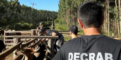 RS apresenta melhora nos indicadores de crimes no campo