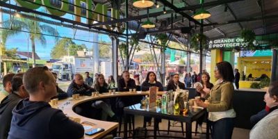 Planta de erva-mate gaúcha tem características especiais e dá origem à nova cachaça