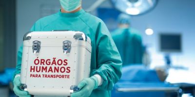 Setembro Verde: transplantes de órgãos batem recorde no Brasil com mais de 30 mil procedimentos realizados