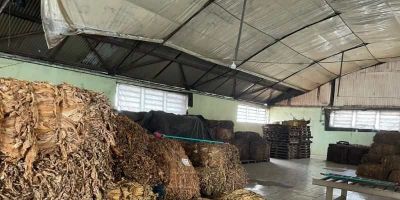 Operação apreende 4,7 toneladas de tabaco irregular em indústria gaúcha