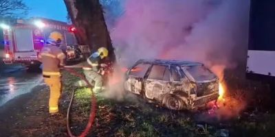 Homem morre após carro bater contra árvore e pegar fogo na ERS-118, em Viamão