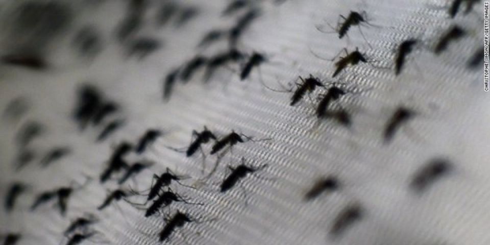 Ministério da Saúde confirma terceira morte por Zika em adultos no Brasil