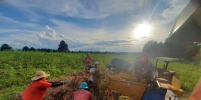 Cooperativa do MST inaugura Agroindústria que beneficiará 40 toneladas de feijão por dia