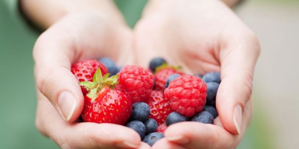 Dia Mundial da Alimentação: especialista indica os alimentos que protegem o sistema vascular