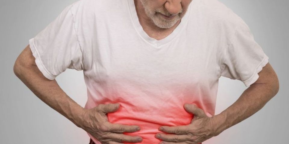 Intestino em equilíbrio: por que a saúde intestinal é mais importante do que pensamos 