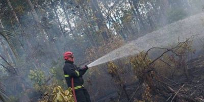 Bombeiros voluntários combatem fogo em vegetação em Tapes
