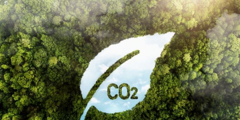 COP 30: tecnologia ganha papel estratégico na luta global contra a crise climática