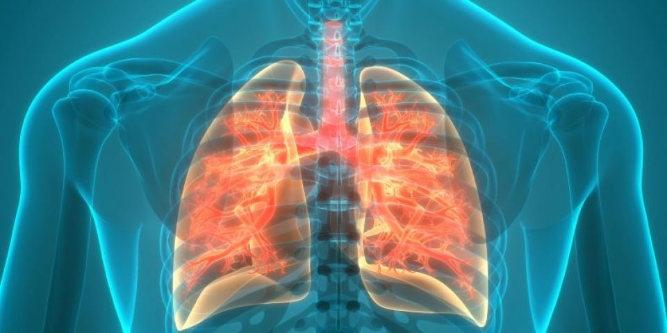 Brasil registra 78 mil novos casos e 4,5 mil mortes por tuberculose ao ano e agentes comunitários de saúde reforçam mobilização