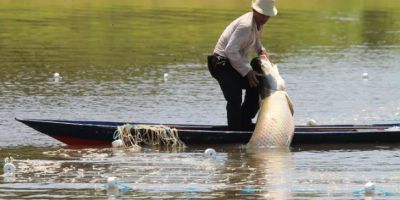 Aquicultura familiar: governo gaúcho abre inscrições para destinação de recursos
