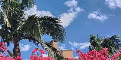 Com máxima de 24°C, quarta-feira (19) será ensolarada em Camaquã