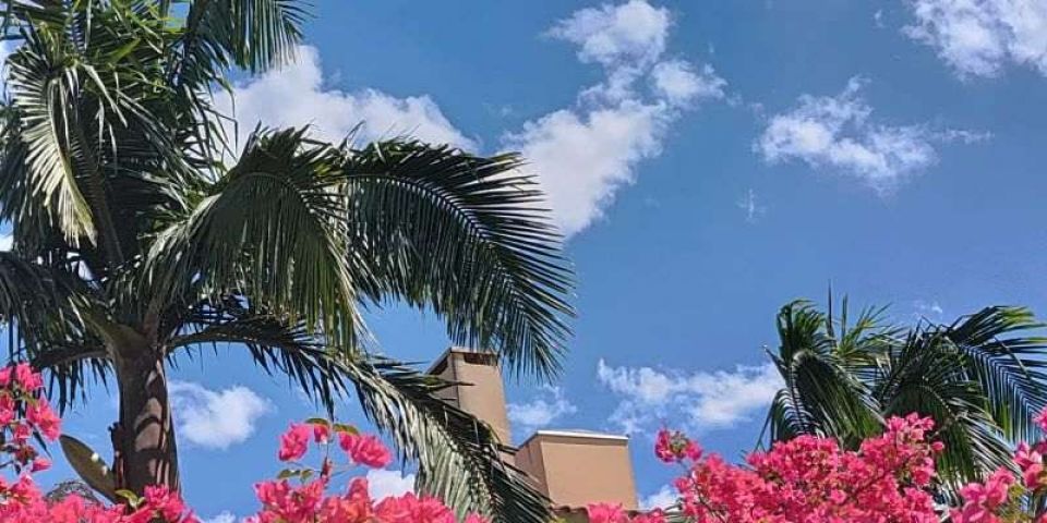 Com máxima de 24°C, quarta-feira (19) será ensolarada em Camaquã