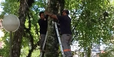 Camaquã inicia instalação da decoração natalina na Praça Zeca Netto