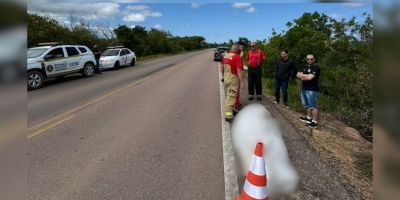 Corpo carbonizado é localizado entre Tapes e Sentinela do Sul