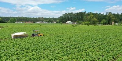 SindiTabaco lança campanha de preparação para emergências voltada aos produtores de tabaco