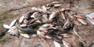 Homens são presos por pesca irregular na barragem em Camaquã